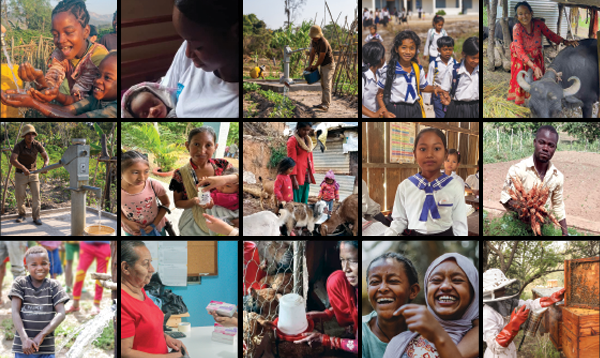 A Big Gift of Hope - alll 15 gifts!