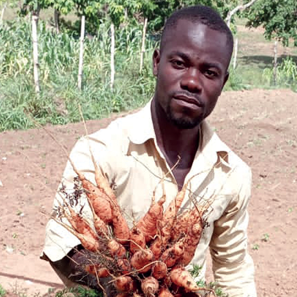 Growing an income *MATCHED*