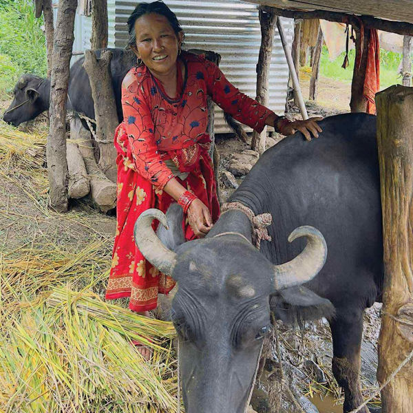 Invest in a lifetime of success for a woman